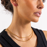 Double Chain Necklace