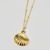 Shell Necklace - Gold